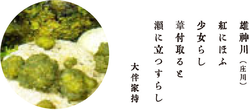 雄神川(庄川) 紅にほふ 少女らし 葦付取ると 瀬に立つすらし 大伴家持