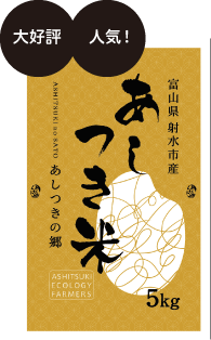 大好評 人気！ 富山県射水市産 あしつき米 5kg